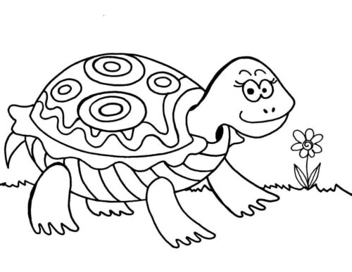 Flower Female Turtle Coloring Page