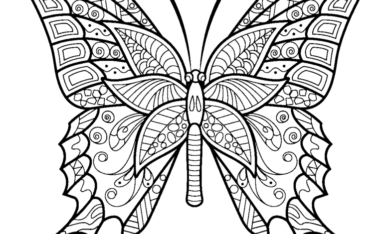 Aesthetic Animal Butterfly Coloring Page