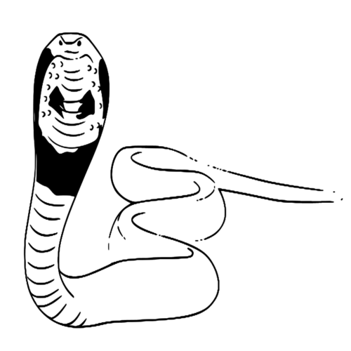 Animal Angry Snake Coloring Page
