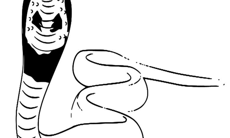 Animal Angry Snake Coloring Page