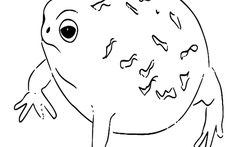 Animal Desert Rain Frog Coloring Page