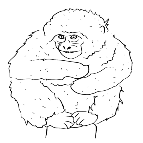 Animal Japanese Macaque Coloring Page