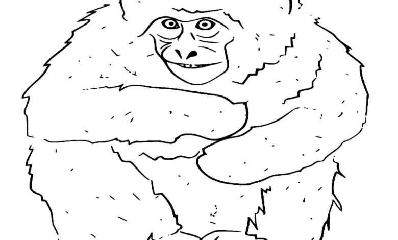 Animal Japanese Macaque Coloring Page
