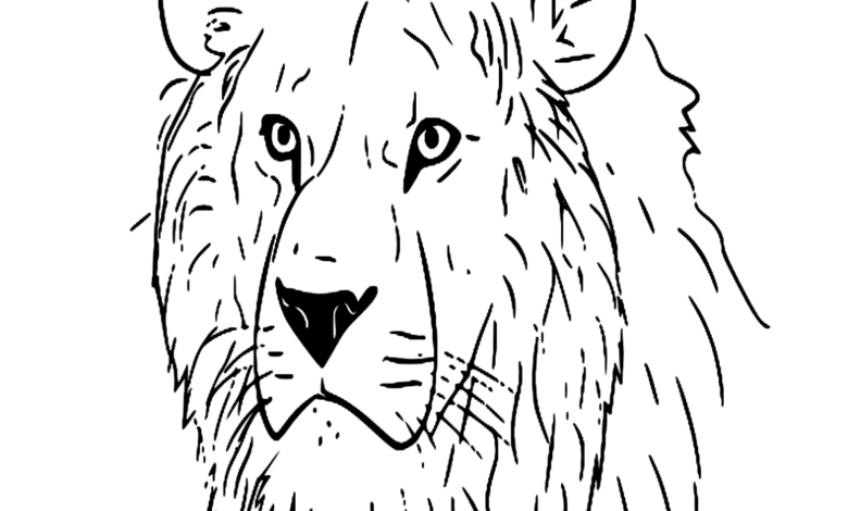 Animal King Lion Head Coloring Page