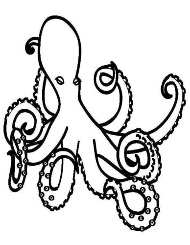 Animal Normal Octopus Coloring Page 1 Animal Normal Octopus Coloring Page