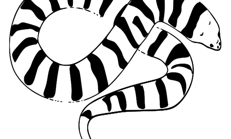 Animal Tiger Snake Coloring Page
