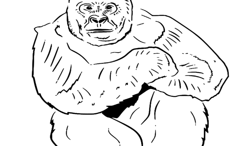 Animal Western Lowland Gorilla Coloring Page