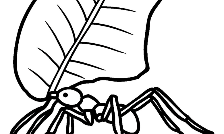 Ant Leaf Coloring Page