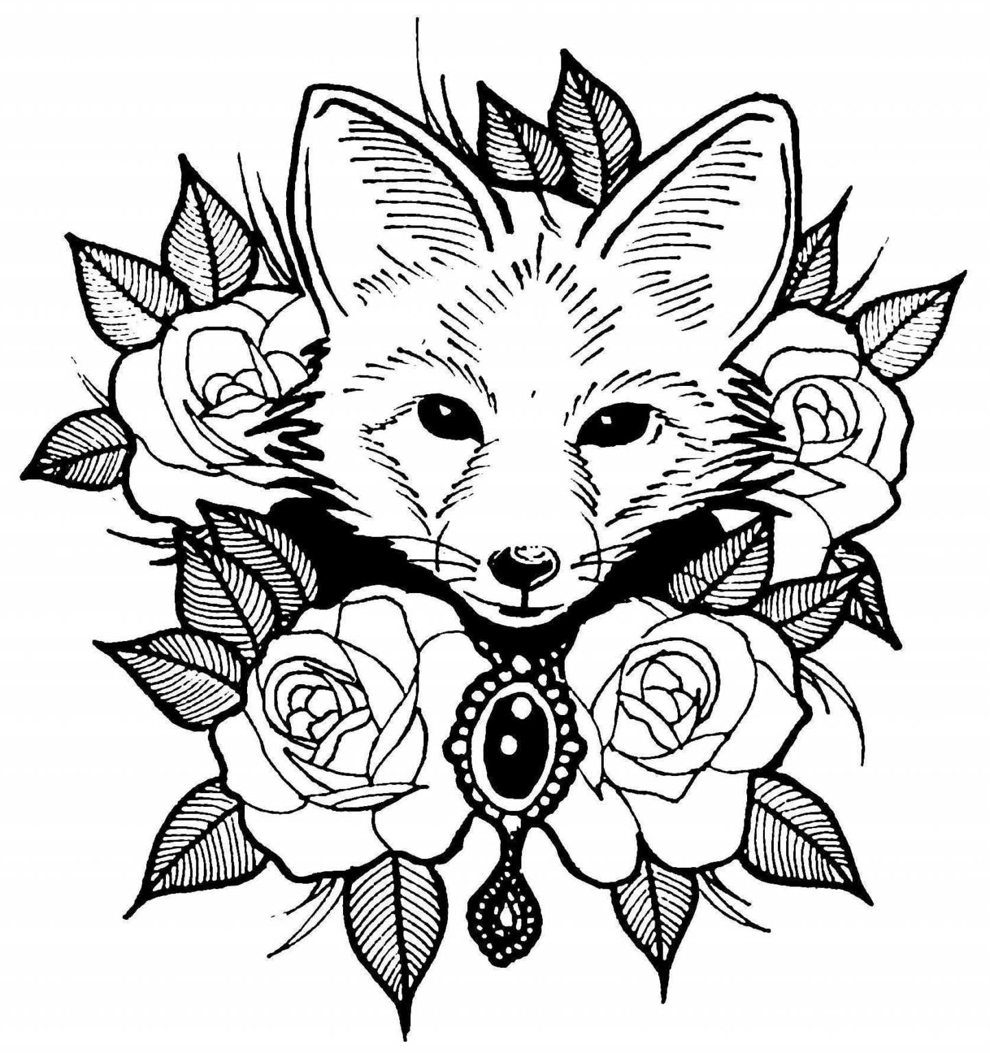 Beautiful Fox Coloring Page » Turkau