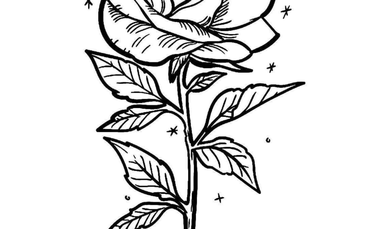 Beautiful Rose Flowers Coloring Page