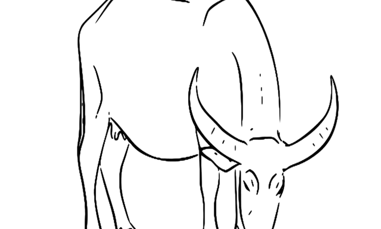 Buffalo Farm Animals Coloring Page
