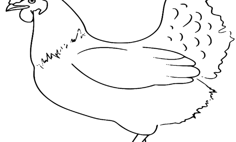Chicken Farm Animals Coloring Page