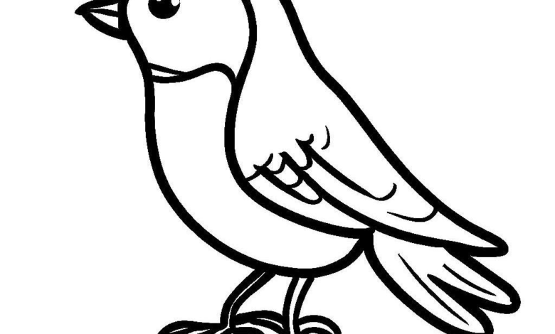 Cute Animal Bird Easy Coloring Page