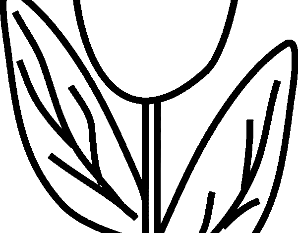 Easy Tulip Coloring Page