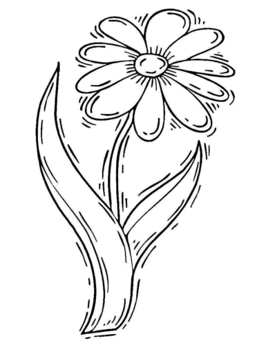 Flower Daisy Coloring Page