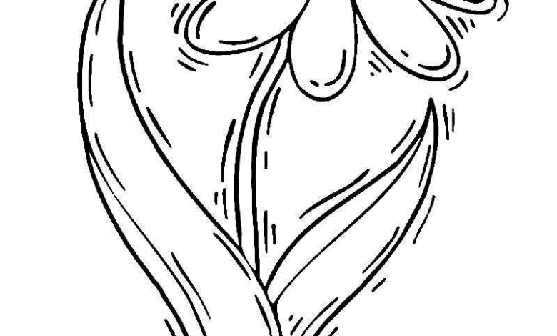 Flower Daisy Coloring Page