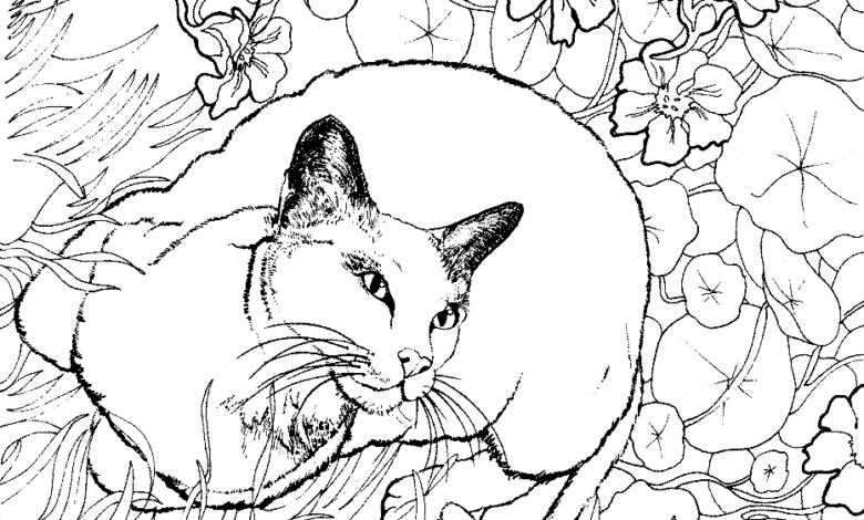 Flowers Cat Mandala Coloring Page