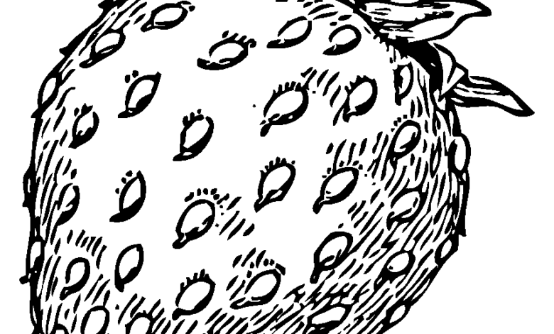 Fruit Realistic Strawberry Coloring Pagev