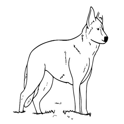 German Shepherd Dog Farm Animals Coloring Page