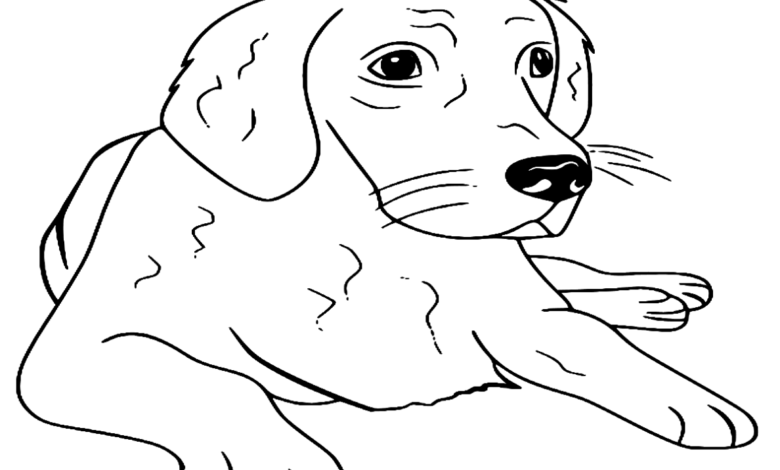 Golden Retriever Dog Farm Animals Coloring Page