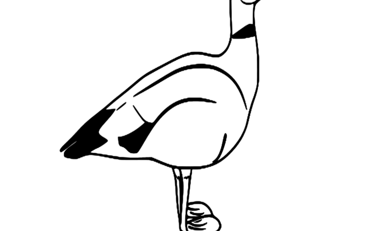 Goose Farm Animals Coloring Page