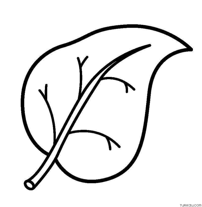 Gorgeous Green Leaf Coloring Page Turkau gorgeous-green-leaf-coloring-page-turkau