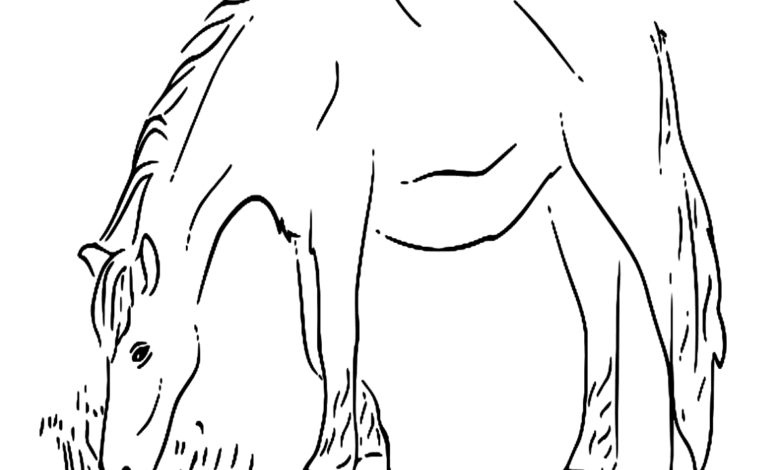 Horse Eating Animals Coloring Page