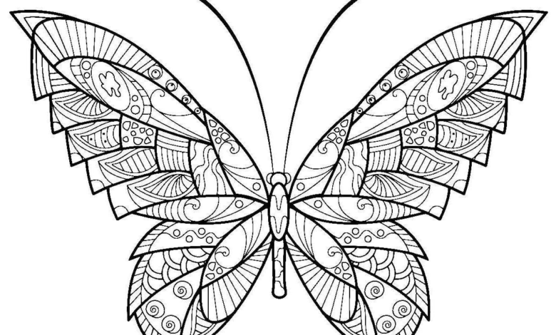 Incredible Butterfly Adult Coloring Page