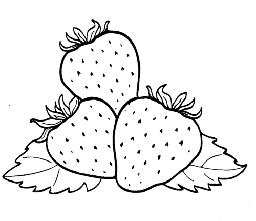 Leaves Strawberries Coloring Page