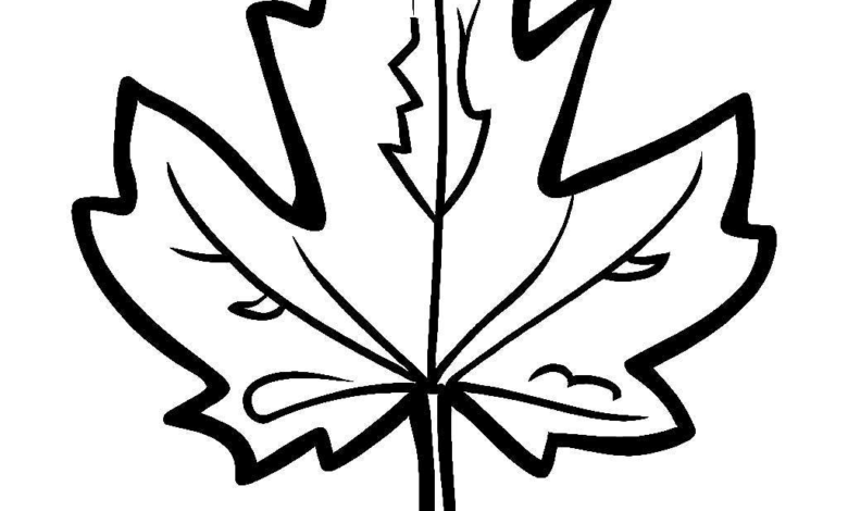 Maple Leaf Coloring Page