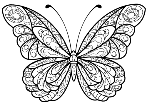 Perfect Butterfly Adult Coloring Page