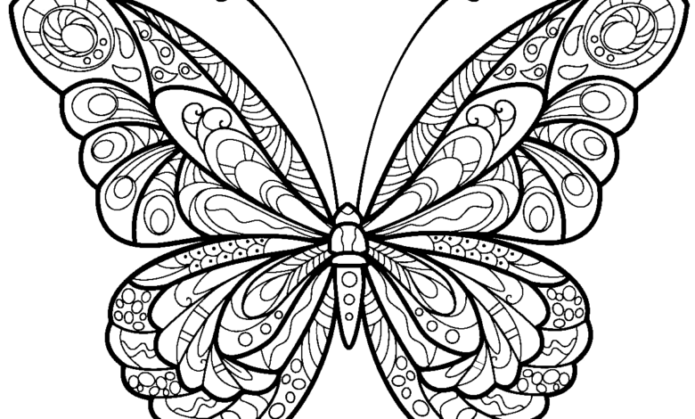 Perfect Butterfly Adult Coloring Page