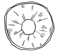 Pineapple Ring Coloring Page