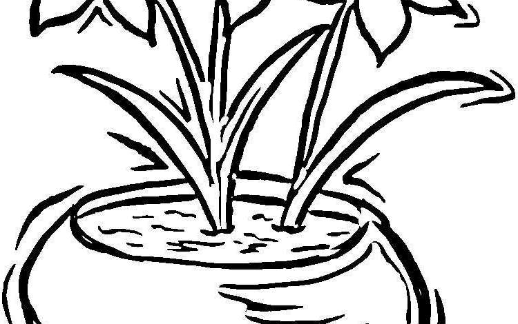 Pretty Daffodils Pot Coloring Page