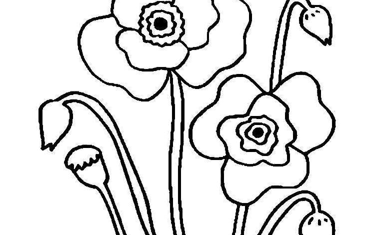 Pretty Poppies Coloring Page