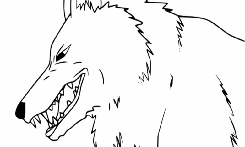 Princess Mononoke Moro Anime Coloring Page