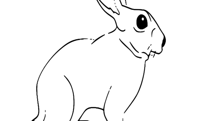 Rabbit Farm Animals Coloring Page