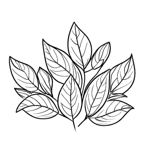 Realistic Gorgeous Leaves Coloring Page