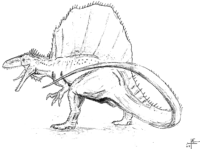 Realistic Spinosaurus Coloring Page