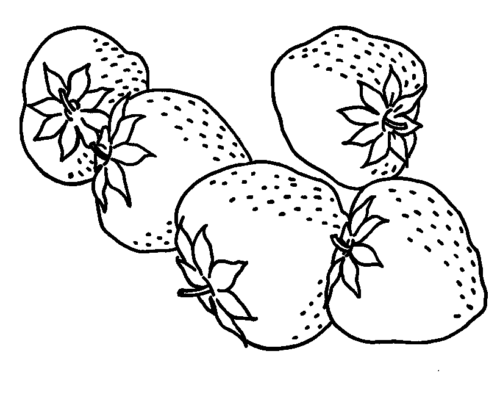 Realistic Strawberries Coloring Page