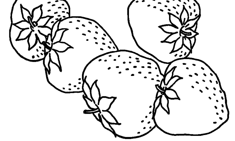 Realistic Strawberries Coloring Page