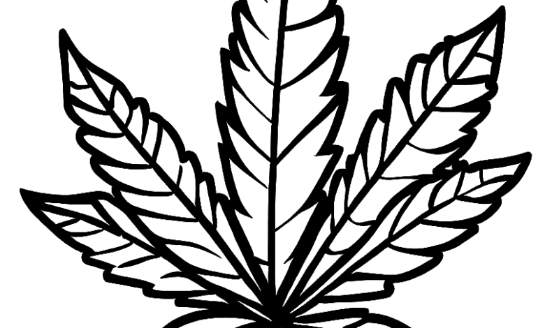 Realistic Weed Leaf Coloring Page