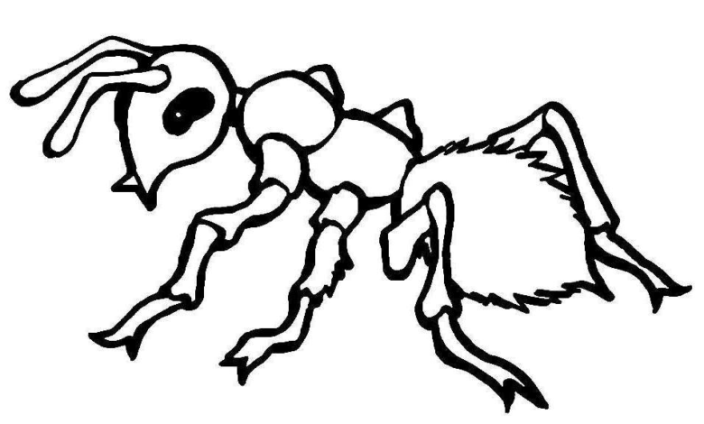 Single Animal Ant Coloring Page