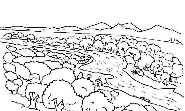Sun Tree River Coloring Page