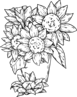 Sunflowers Bouquet Coloring Page Sunflowers Bouquet Coloring Page