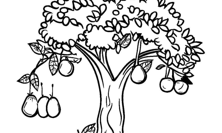Tree Fruits Coloring Page