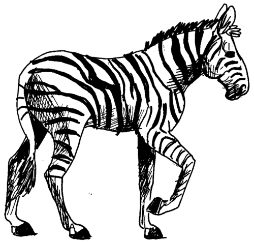 Wild Animal Zebra Coloring Page
