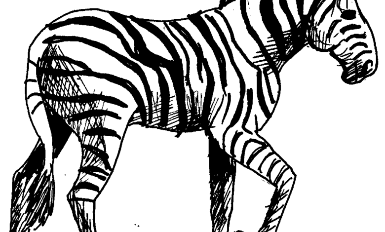 Wild Animal Zebra Coloring Page