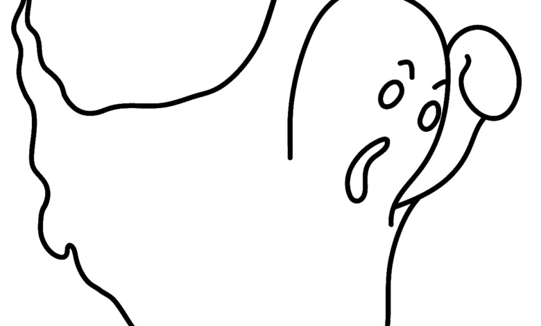Ghost Scary Fly Coloring Page