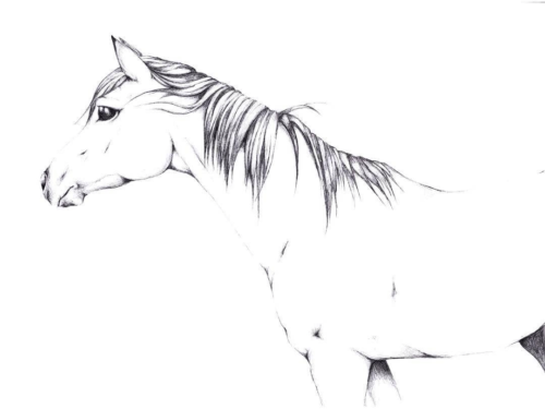 Sweet Horse Aesthetic Coloring Page